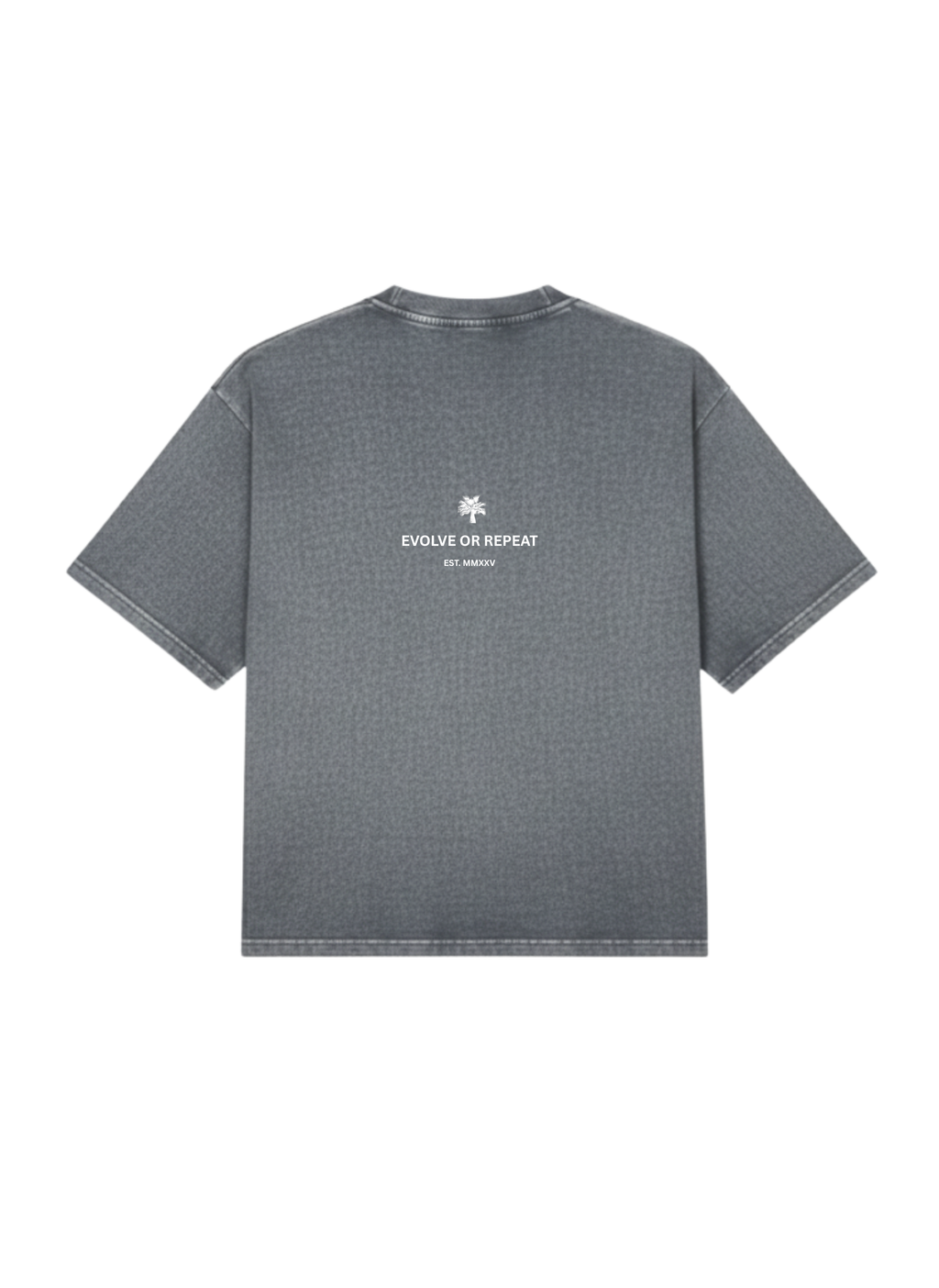 BASIC T-SHIRT IN STONEWASH [PRE-LAUNCH]