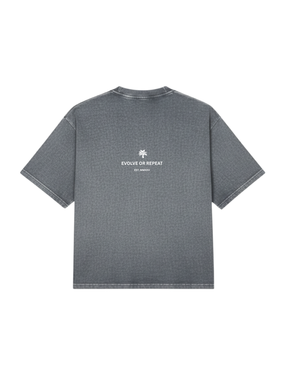 BASIC T-SHIRT IN STONEWASH