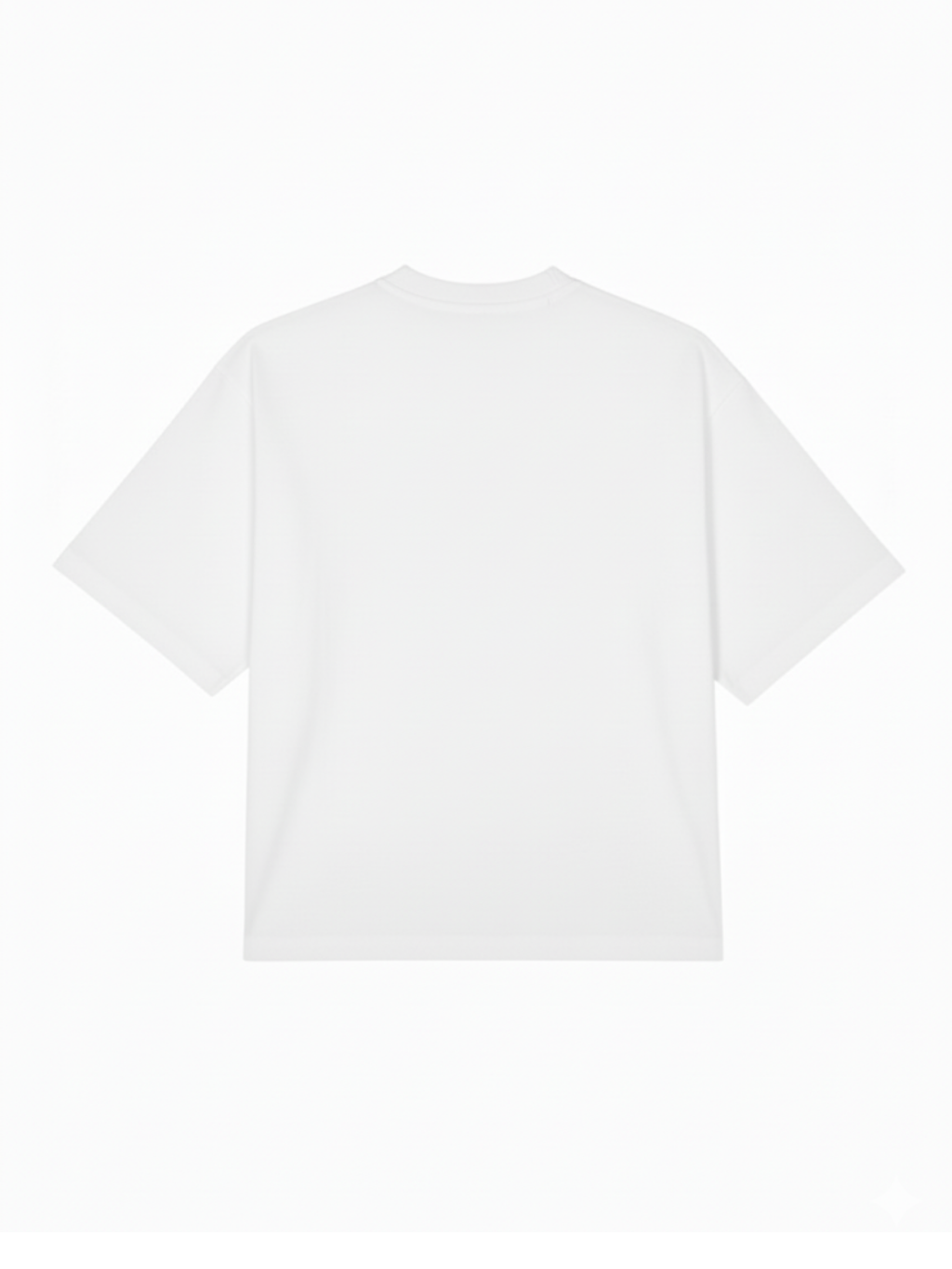white BASIC T-SHIRT IN WHITE [UNISEX]