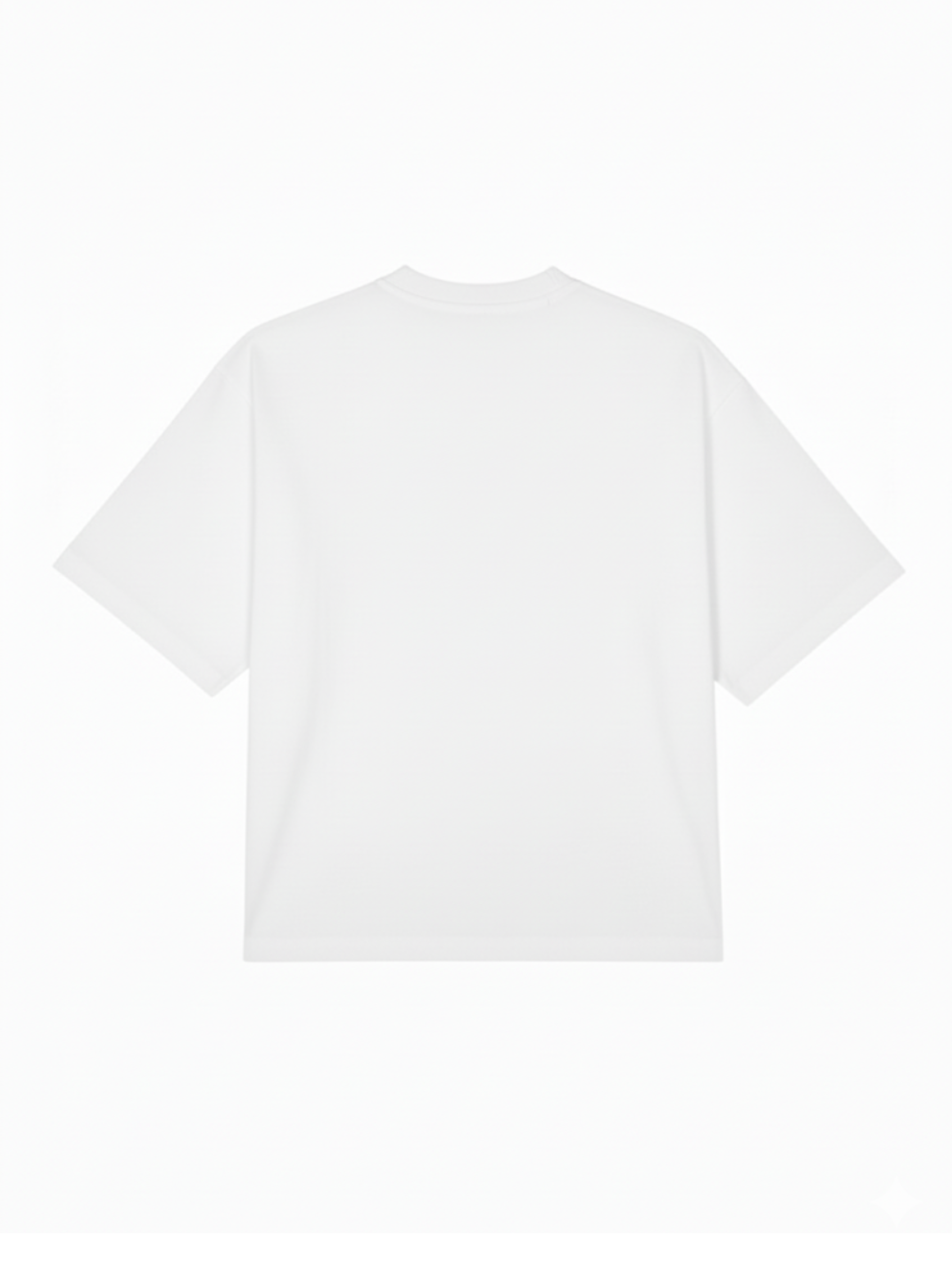 white BASIC T-SHIRT IN WHITE [UNISEX]