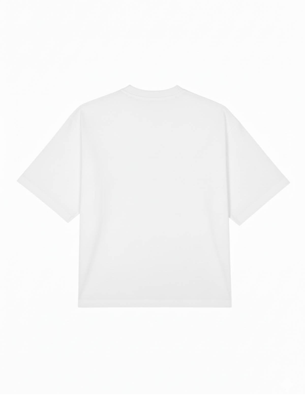 BASIC T-SHIRT IN WHITE