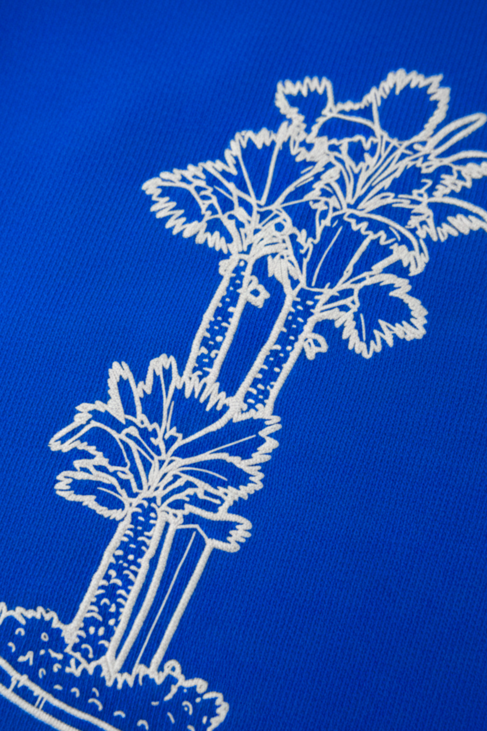 PALME ROYAL-BLUE HOODIE